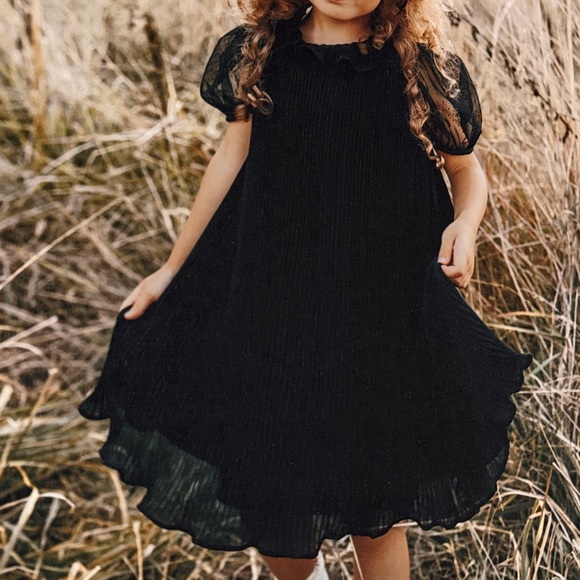Janie and Jack Other - Janie and jack girls pleated dress size 8 black chiffon like new gently used